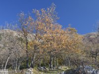 2017-11-11 Monte Cornacchia 064